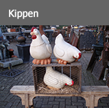 Knop kippen